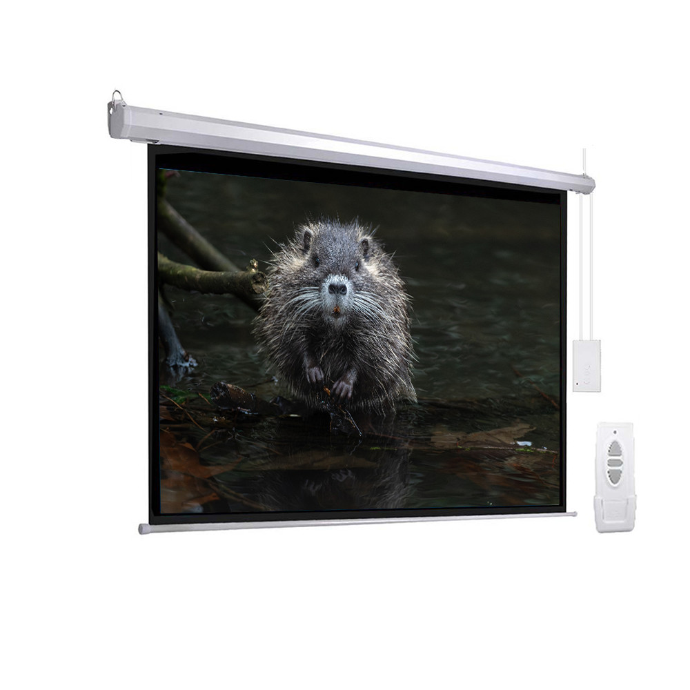 4901 eCommerce image 2
