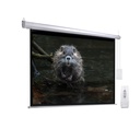 4901 eCommerce image 2