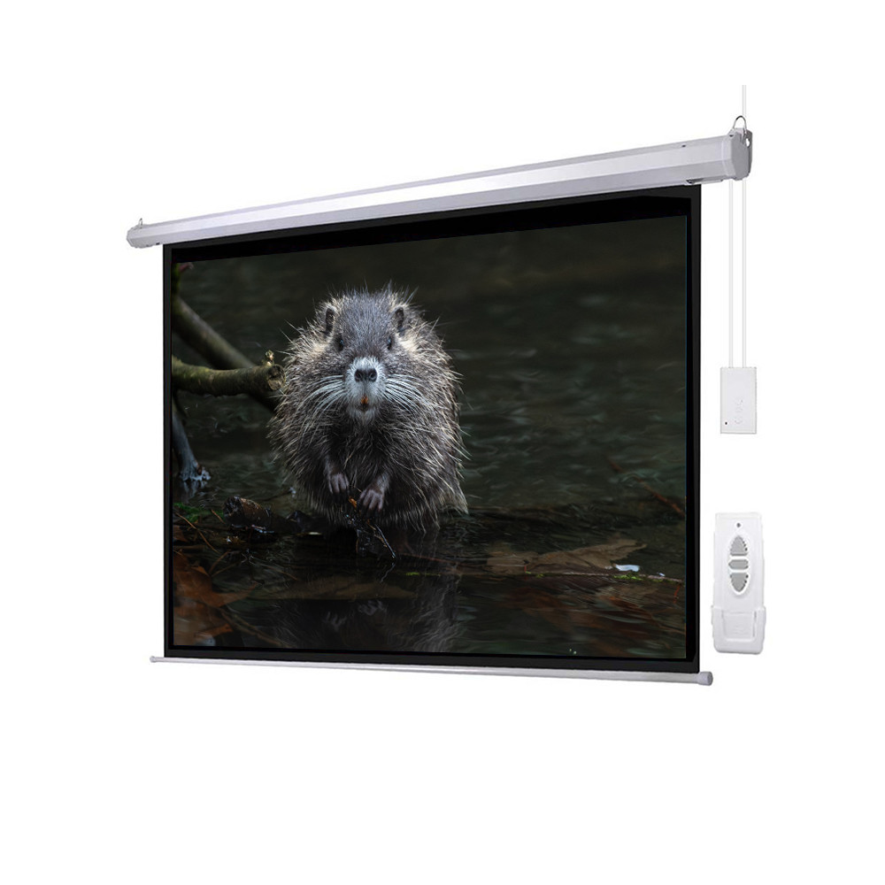 Buerotika Electric Projection Screen – RF Remote, Matte White, 200cm × 200cm | BW24-E200