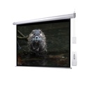 Buerotika Electric Projection Screen – RF Remote, Matte White, 200cm × 200cm | BW24-E200
