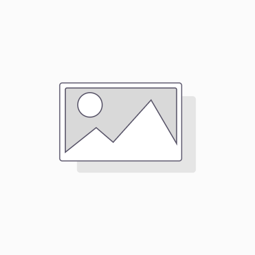 [2580] Dvi To Vga Converter
